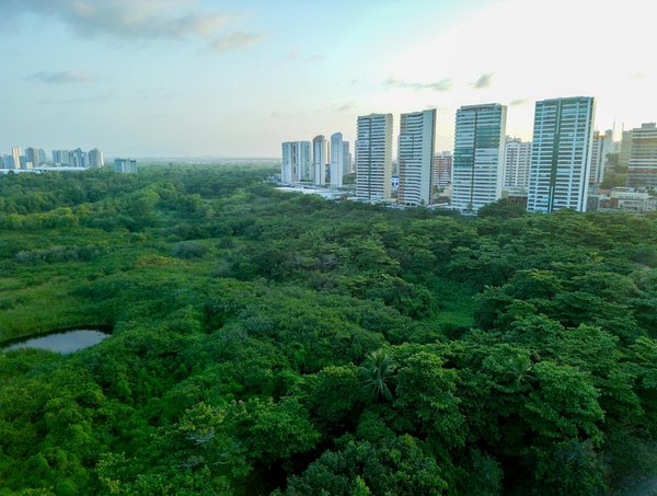 Comment réduire son empreinte carbone au quotidien ?